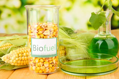 Lower Amble biofuel availability